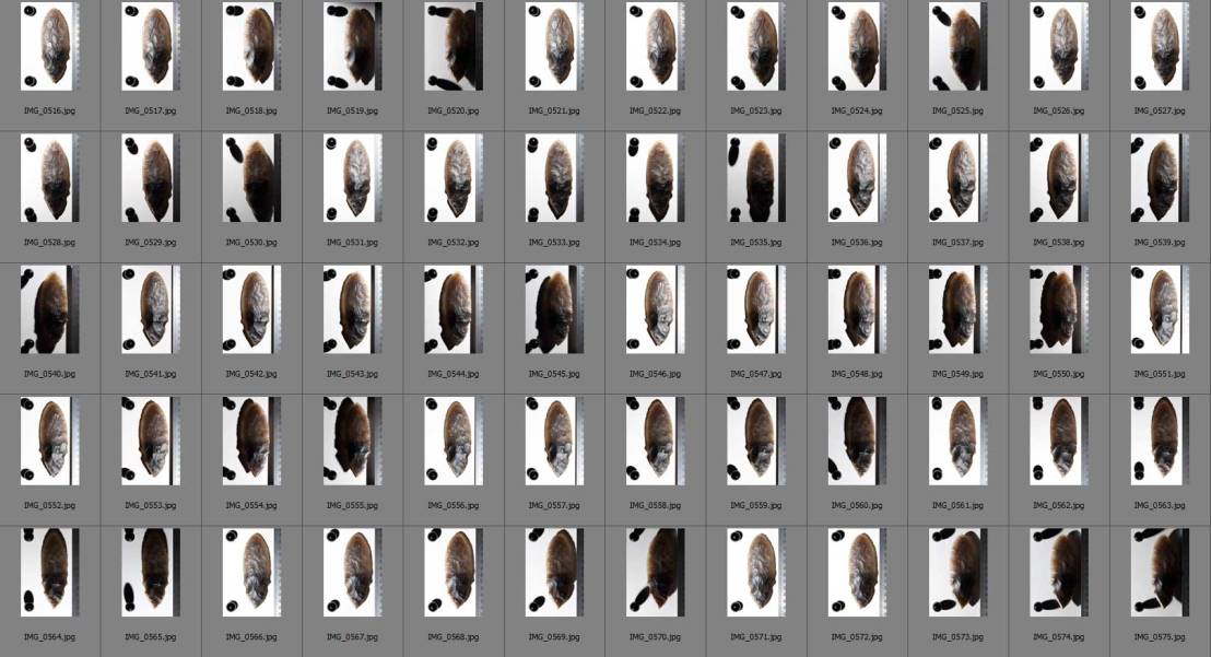 An sequence of 60 photographs for RTI.